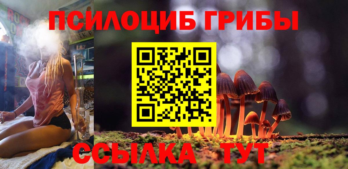 Усть-Джегута  Галлюциногенные грибы Magic Shrooms  как найти закладки  Вход с VPN 
