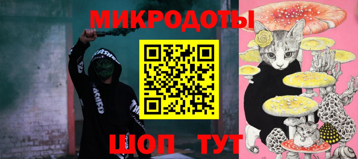 Псилоцибиновые грибы Psilocybe Усть-Джегута